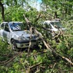 Copaci prabusiti stalp cazut curte inundata in Arges