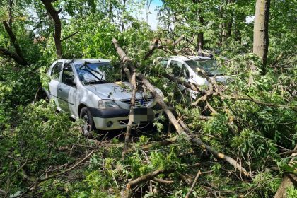 Copaci prabusiti stalp cazut curte inundata in Arges