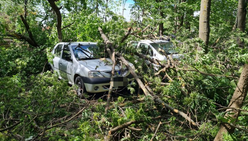 Copaci prabusiti stalp cazut curte inundata in Arges