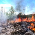Incendii violenete in judetul Arges au ars generalizat
