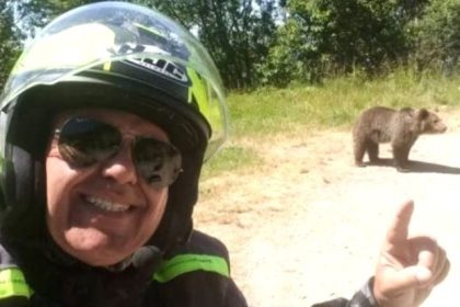 Plangere penala impotriva Direciei Silvice Arges