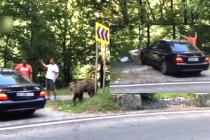 VIDEO Amenzi aplicate pe Transfagarasan
