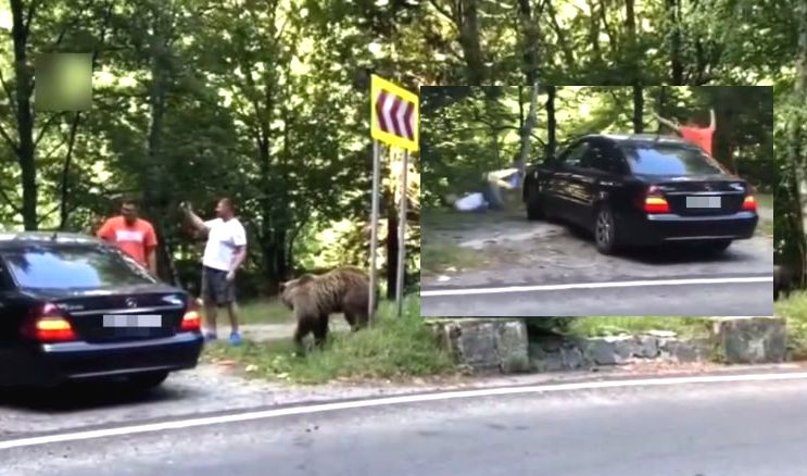 VIDEO Amenzi aplicate pe Transfagarasan
