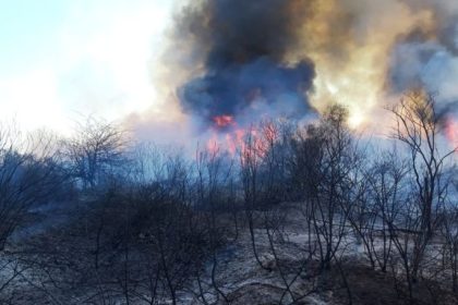 A ars generalizat incendii devastatoare in judetul Arges
