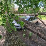 Arges Copac prabusit si acoperis smuls de vant 3 victime