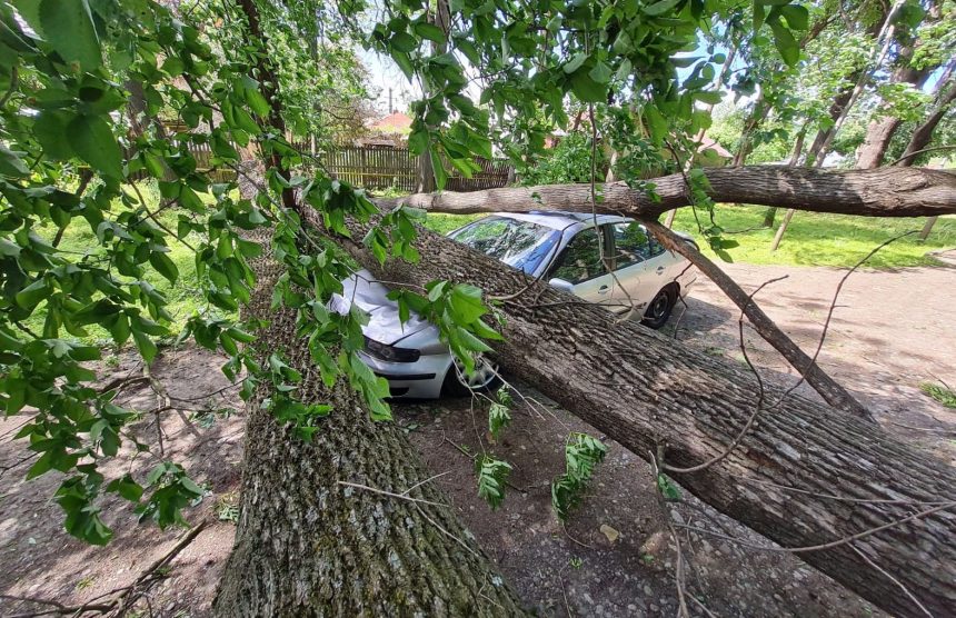 Arges Copac prabusit si acoperis smuls de vant 3 victime