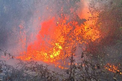 Incendiu devastator in Arges o victima