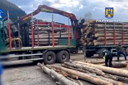 Transport ilegal de lemn in Budeasa Arges