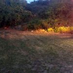 incident mortal ingrozitor in Arges in seara aceasta