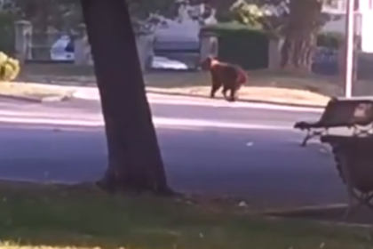 Alarma a fost data in doua localitati din Arges