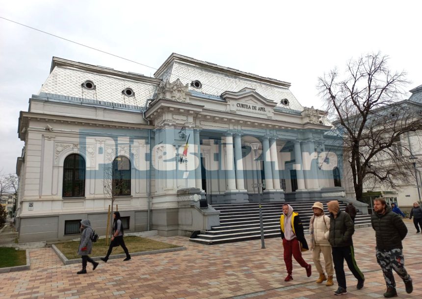 Curtea de Apel Pitesti decizie semnificativa