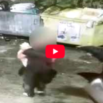 Piteni filmat i si amendat i de Politia Locala