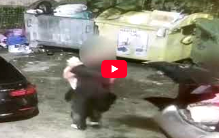 Piteni filmat i si amendat i de Politia Locala