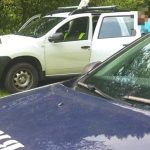 Aparitie surprinzatoare in curtea unui argesan