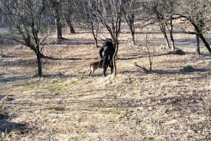 Femeia disprut din Arge a fost gsit