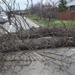 Argesul va fi afectat semnificativ Avertizari recente