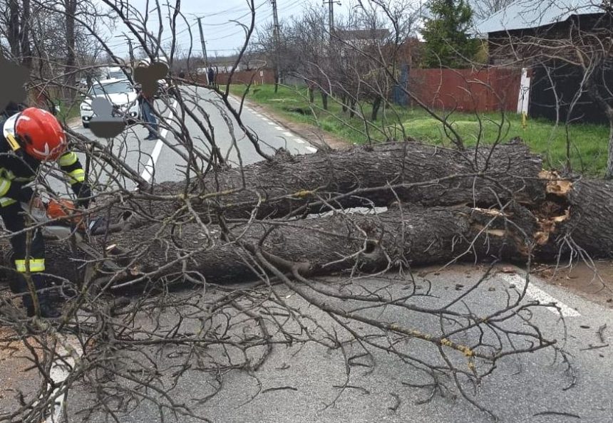 Argesul va fi afectat semnificativ Avertizari recente