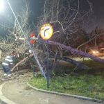 Copaci cazuti acoperisuri distruse Urgente in Arges