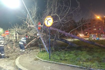 Copaci cazuti acoperisuri distruse Urgente in Arges