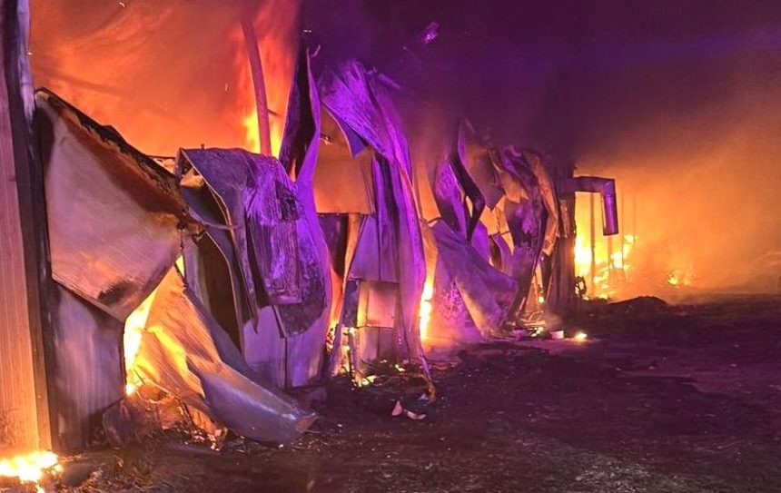 Hal din Arge cuprins de flcri generalizate