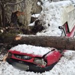 Brad prabusit peste o masina in Arges