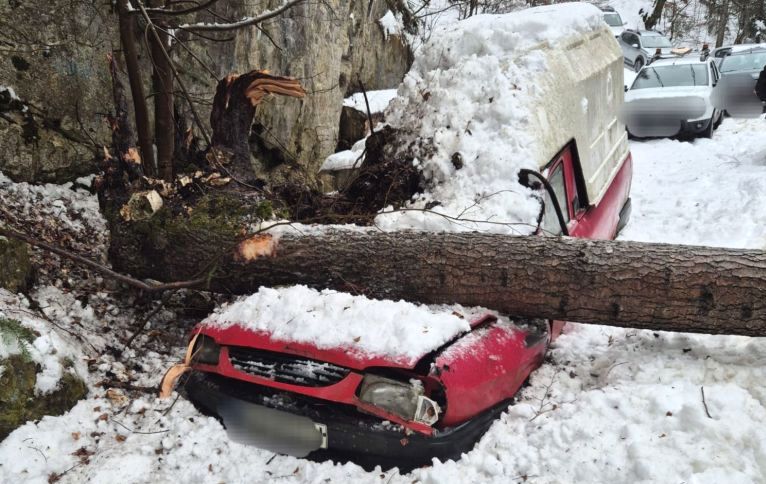 Brad prabusit peste o masina in Arges