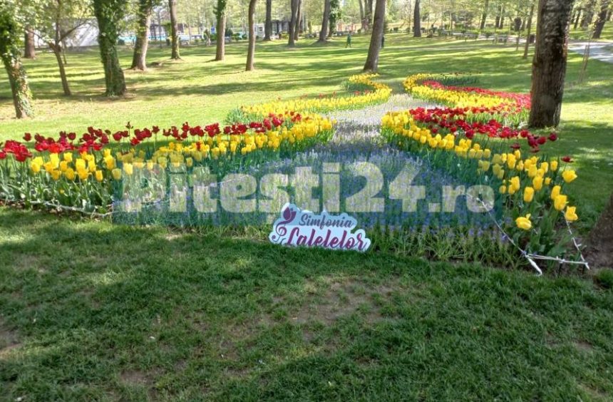 Cand se va desfasura Simfonia Lalelelor 2026 Modificare semnificativa