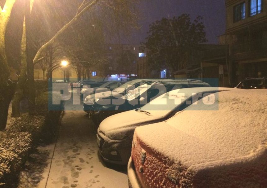 Controale nocturne in Trivale Gavana Prundu