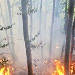 Alert de urgen in Corbeni Arge Situaie grav