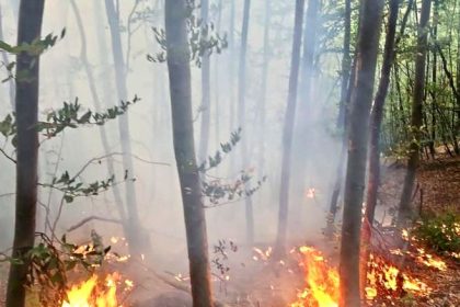 Alert de urgen in Corbeni Arge Situaie grav