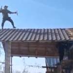 Arges Batbat agresiv impuscat de politie