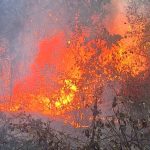 Incendii devastatoare in Arges Actions de interventie de urgenta