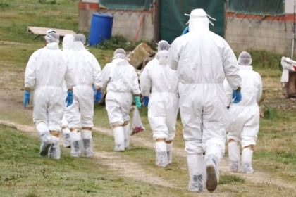 Alerte majore DSVSA Arges avertizeaza