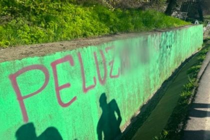 Culpabil in fapt in zona popasului Dedulesti Arges