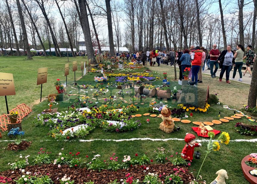 Incepe Simfonia Lalelelor 2026 Prima zi programul integral