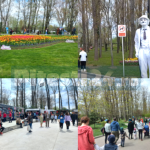 Simfonia Lalelelor 2026 Programul complet pentru prima zi