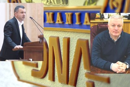 USR Arges Demisia Marius Nicolaescu