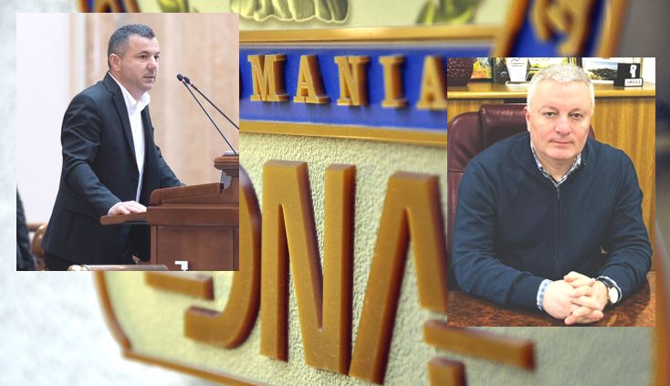 USR Arges Demisia Marius Nicolaescu