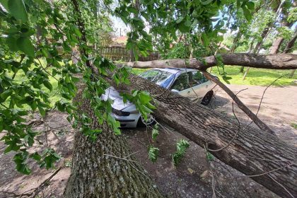 Intreaga zona a Argesului este in atentie
