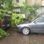 copaci cazuti alerta de urgenta in pitesti