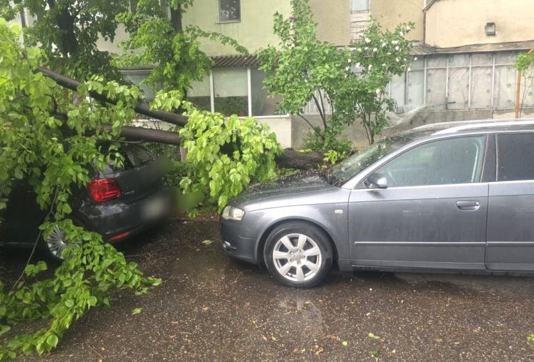 copaci cazuti alerta de urgenta in pitesti