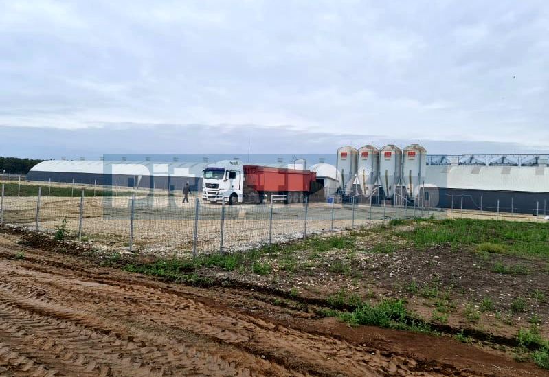 exclusiv o noua ferma va fi ridicata in arges