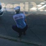 Arges Incident pe o trecere de pietoni Sofer amendat