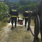 Argesul va fi grav afectat