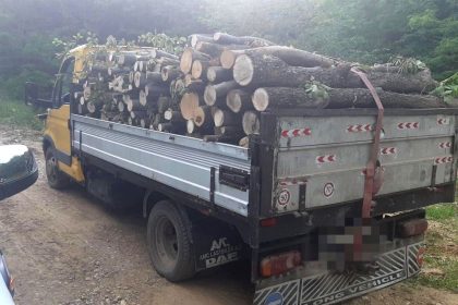 Transport ilegal in Domnesti Arges