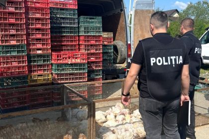 Actiune de control in Targul Saptamanal din Domnesti Arges