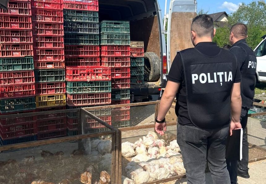 Actiune de control in Targul Saptamanal din Domnesti Arges