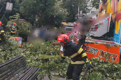 Copaci cazuti curti inundate localitati din Arges afectate