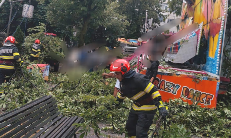 Copaci cazuti curti inundate localitati din Arges afectate