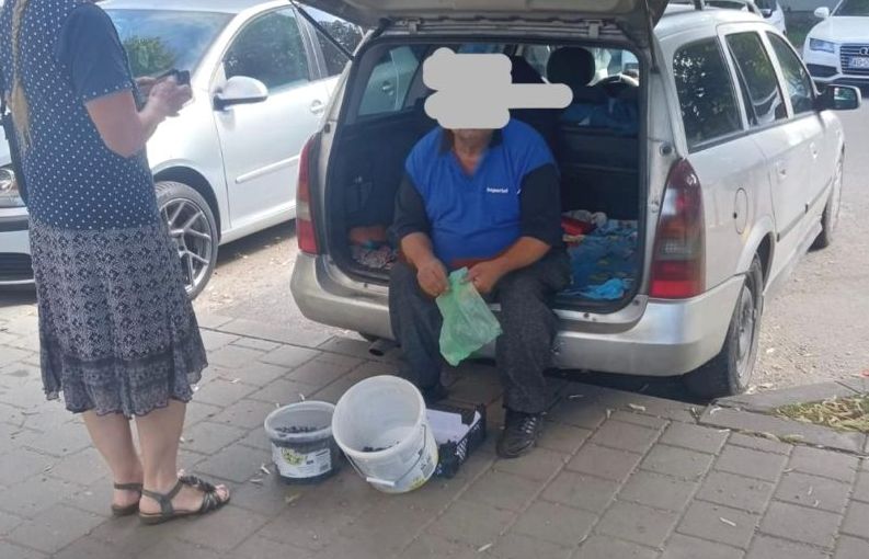 Pitesti Comerciantii stradali din zona pietelor sanctionati